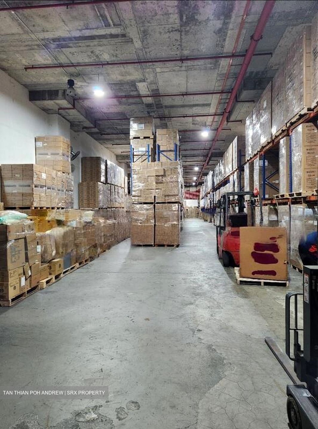 Jurong Port Road (D22), Warehouse #483777531